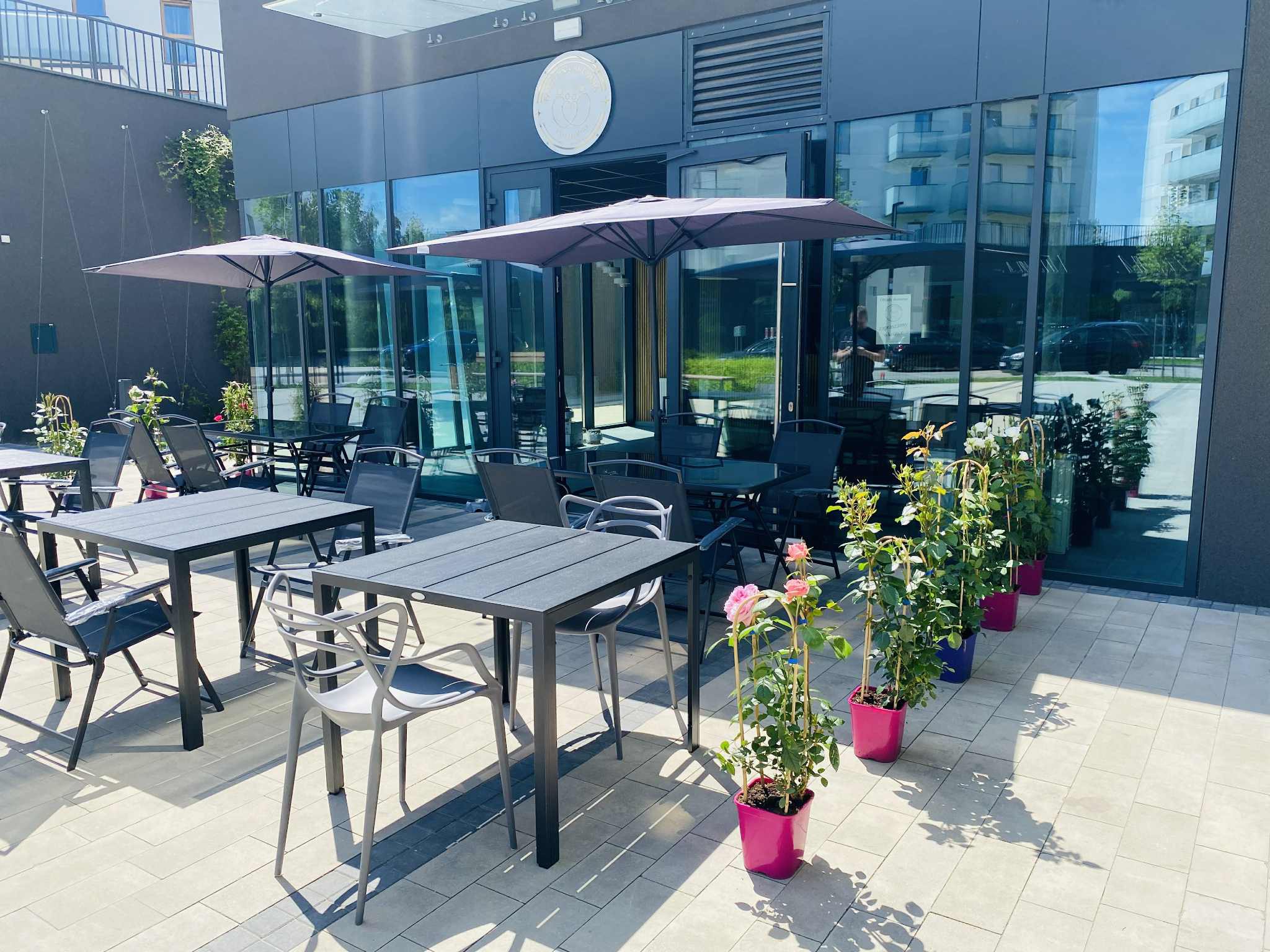 Galeria – Familijna Kuchnia Łódź | Zdjęcia dań i sali